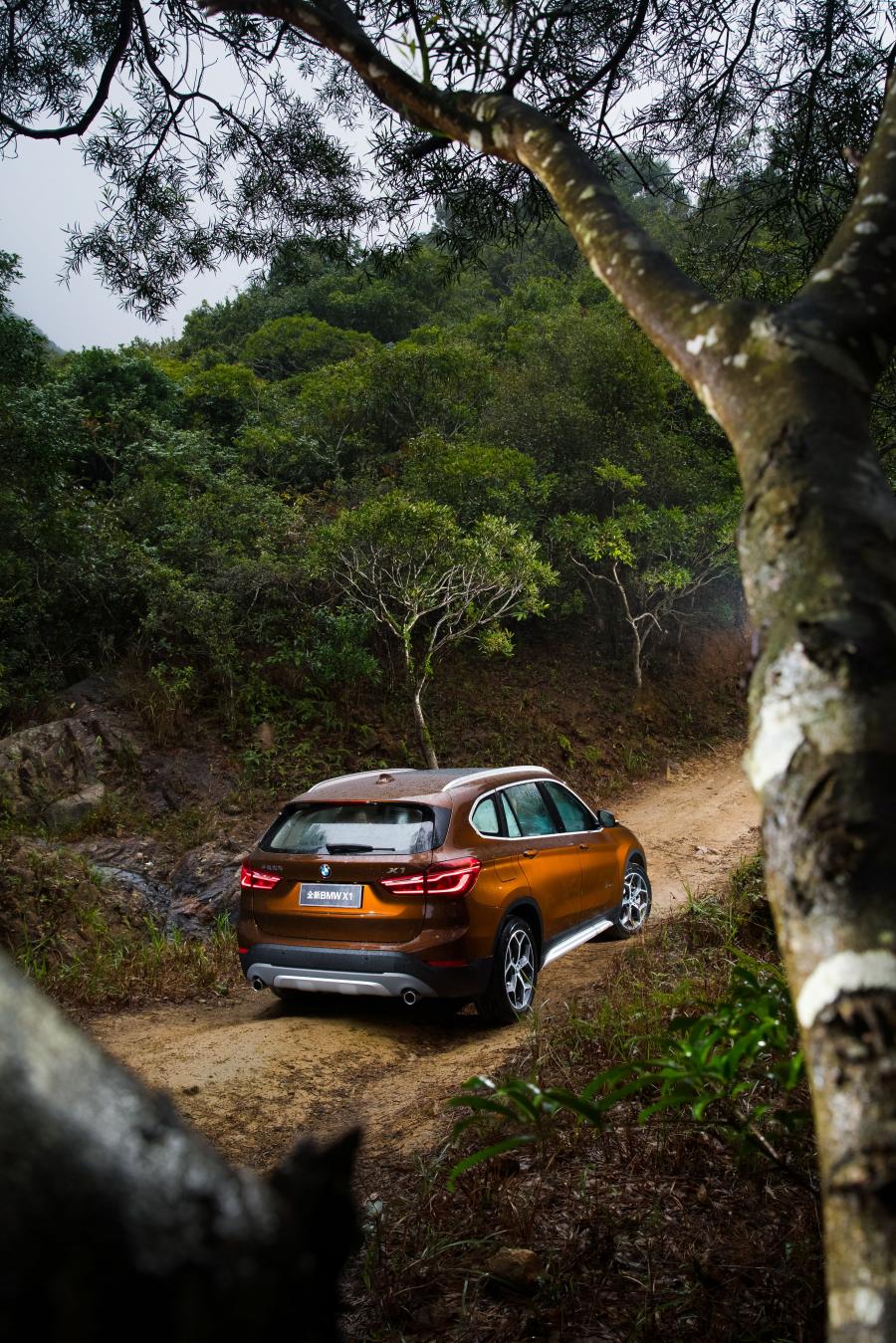  BMW X1 xDrive25Li xLine 2016 года  (фото 11 из 39)